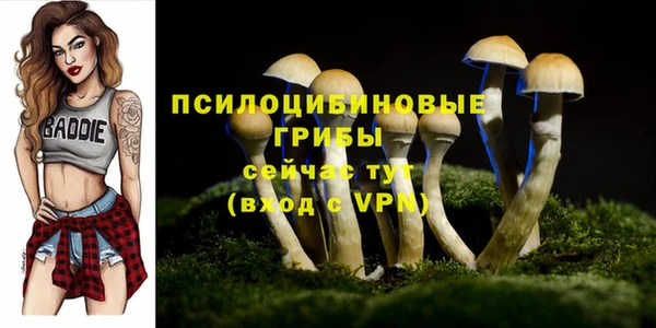 кокс Абаза