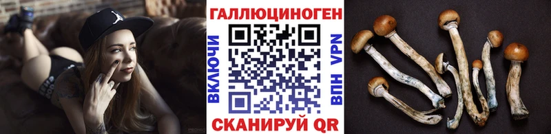 Галлюциногенные грибы мухоморы сколько стоит Шарыпово